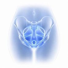 Pelvic Training Mode